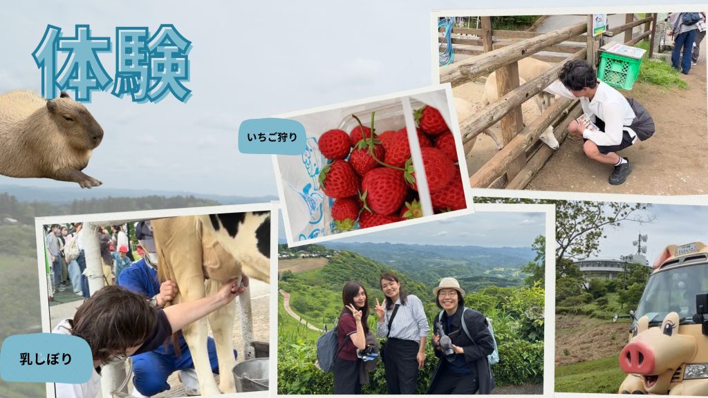 千葉社会見学-マザー牧場